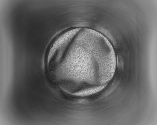 X0000101710204200807311458