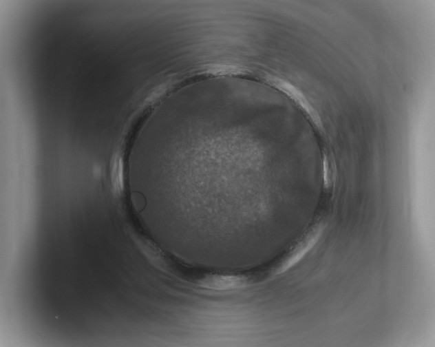 X0000101710205200807311458
