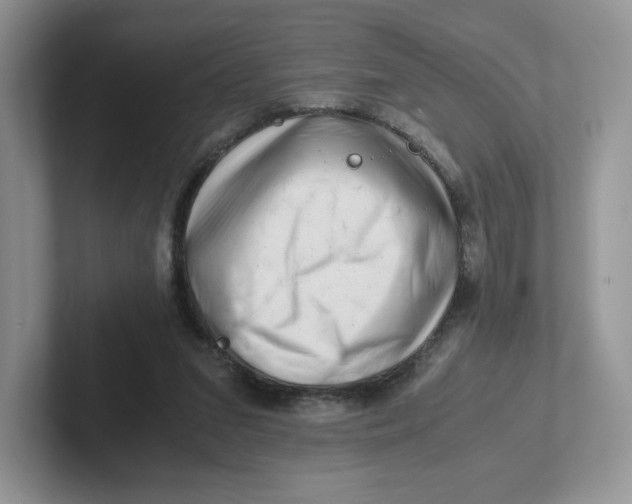 X0000101710207200807311458