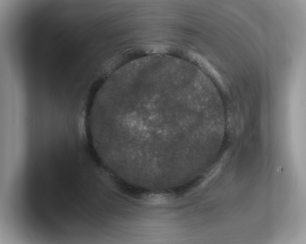 X0000101710209200807311458