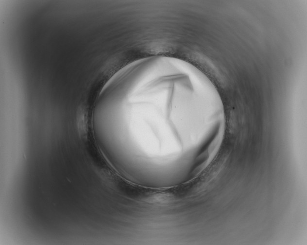 X0000101710210200807311458