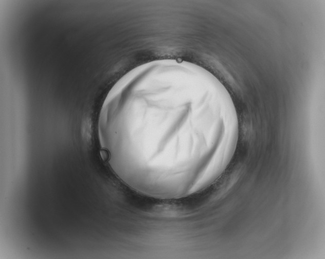 X0000101710211200807311458