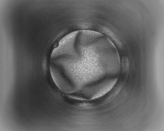 X0000101710212200807311458