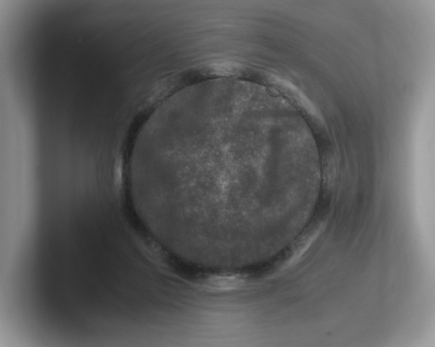 X0000101710213200807311458