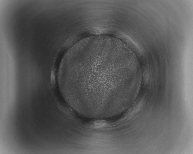 X0000101710214200807311458