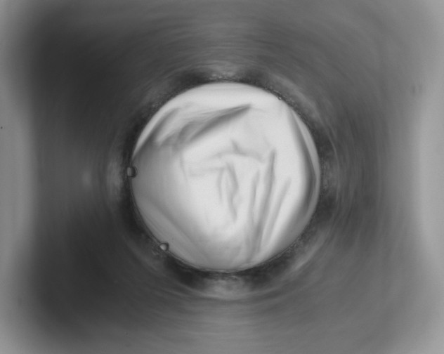 X0000101710215200807311458