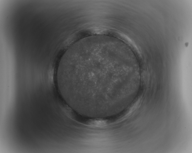 X0000101710217200807311458