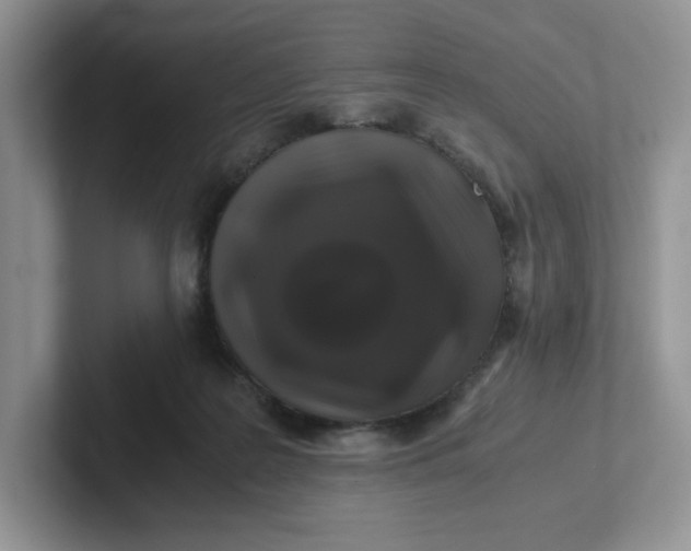 X0000101710219200807311458