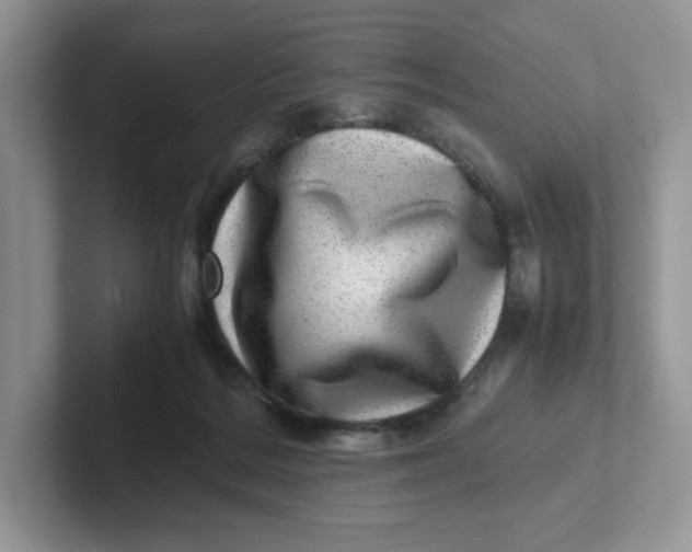 X0000101710220200807311458