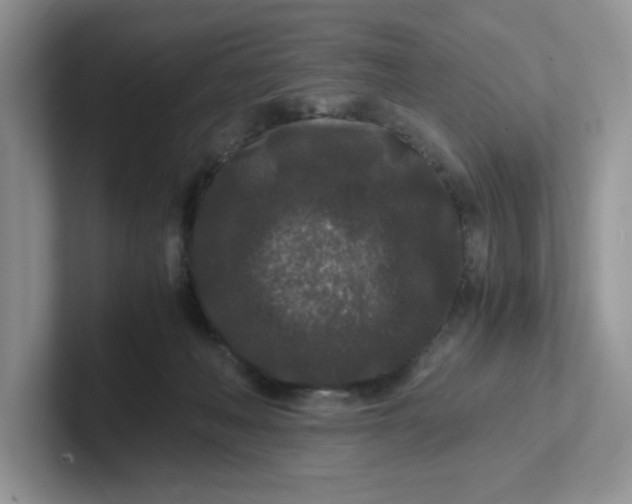 X0000101710222200807311458