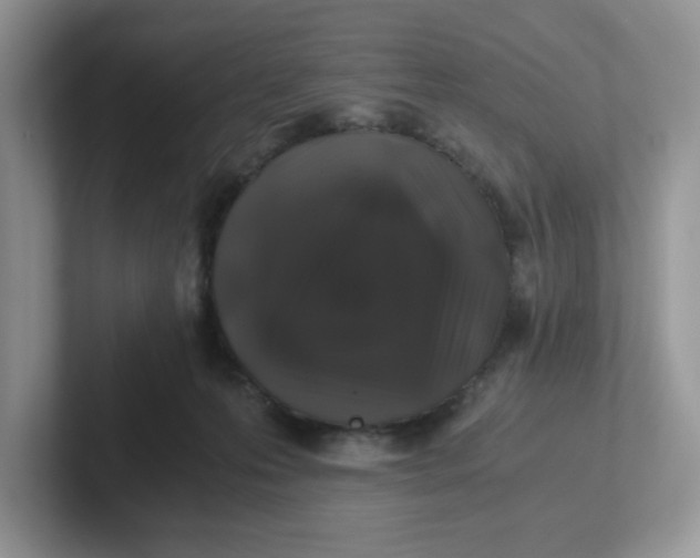 X0000101710223200807311458