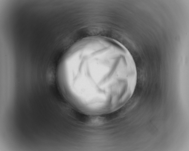 X0000101710226200807311458