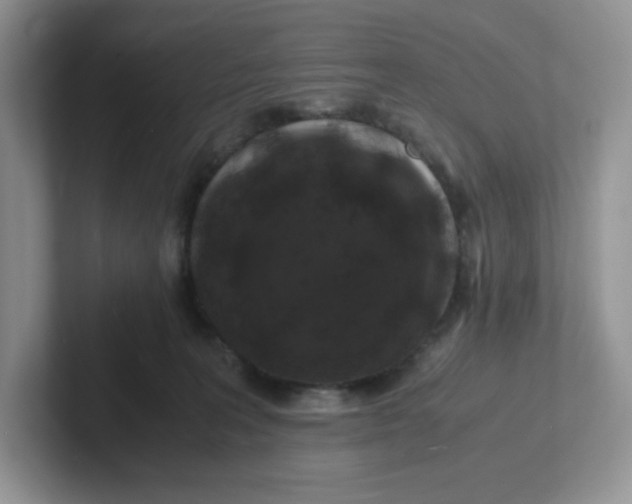 X0000101710227200807311458