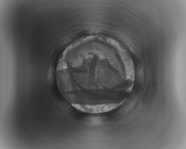 X0000101710228200807311458