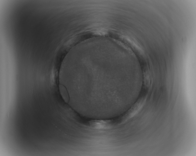 X0000101710229200807311458