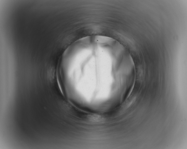 X0000101710230200807311458