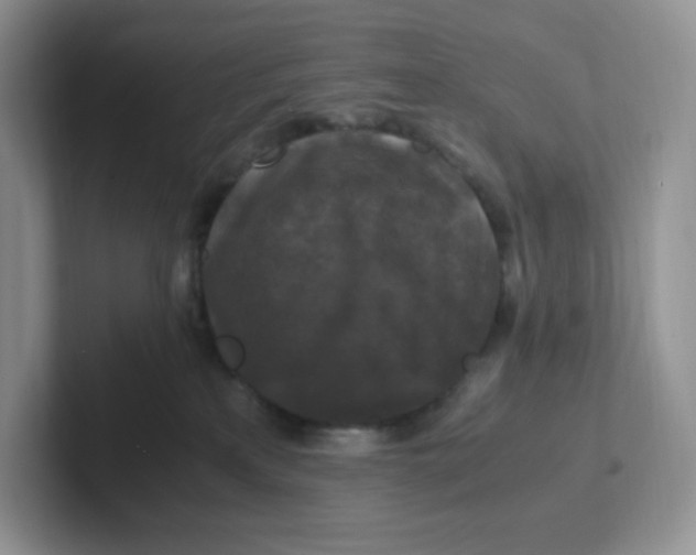 X0000101710233200807311458