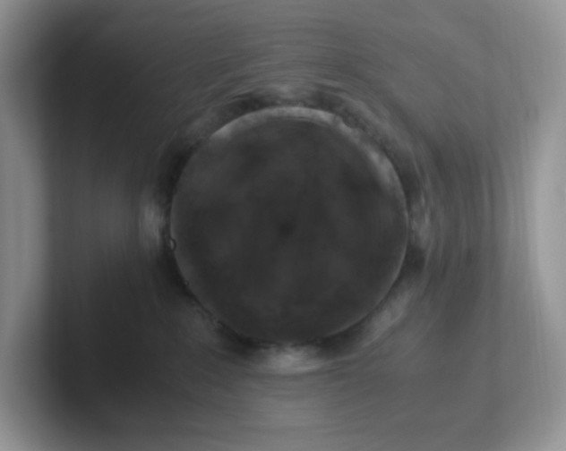 X0000101710235200807311458