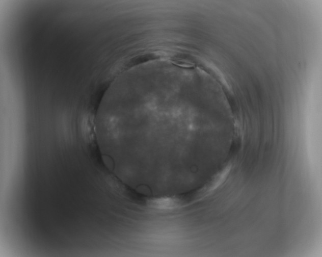 X0000101710237200807311458