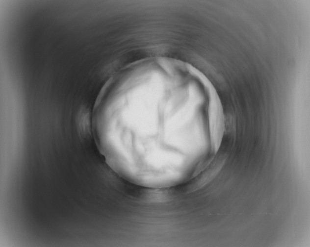 X0000101710238200807311458