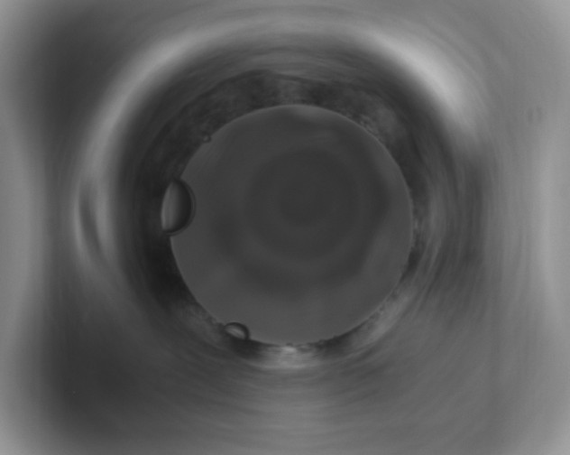 X0000101710239200807311458