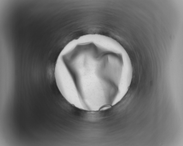 X0000101710240200807311458