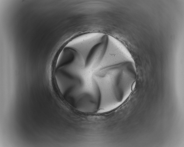 X0000101710242200807311457