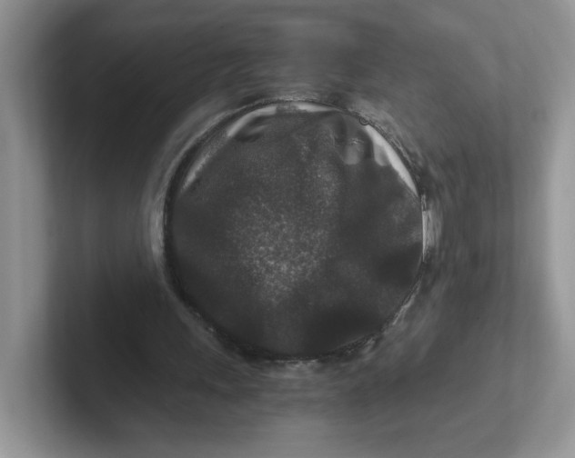 X0000101710243200807311457