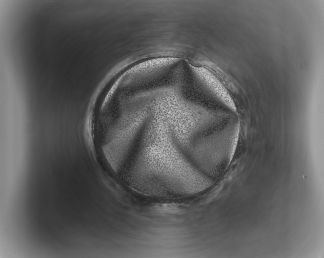 X0000101710244200807311457