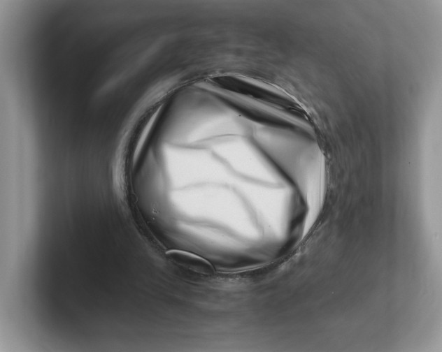 X0000101710245200807311457