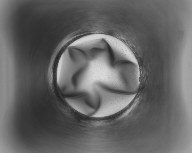 X0000101710246200807311457