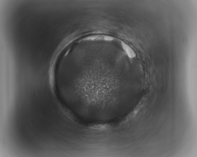 X0000101710247200807311457