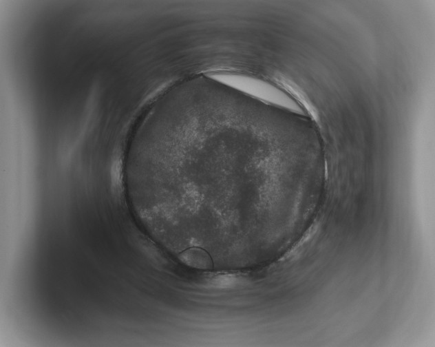 X0000101710249200807311457