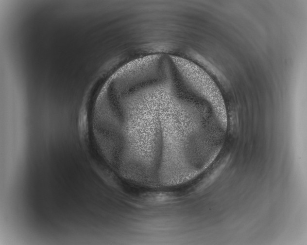 X0000101710254200807311457