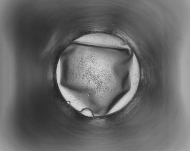 X0000101710257200807311457