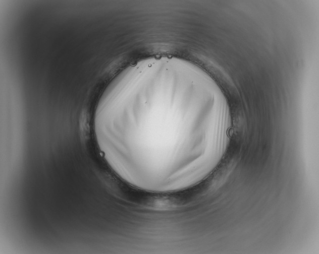 X0000101710264200807311458