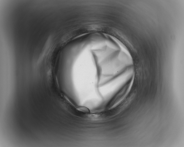 X0000101710265200807311458