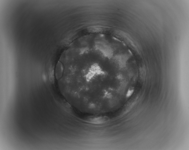 X0000101710267200807311458