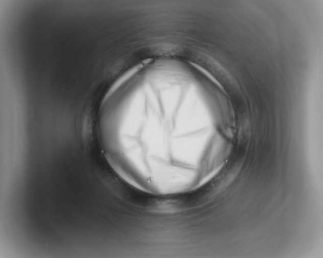 X0000101710268200807311458