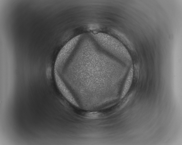 X0000101710269200807311458