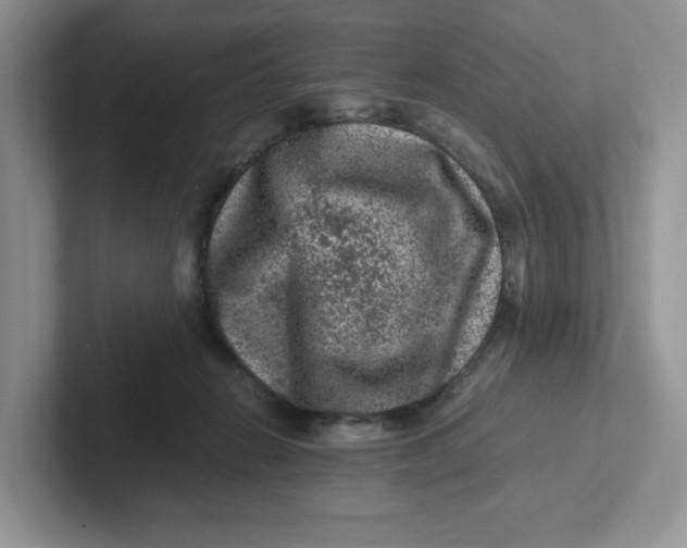 X0000101710270200807311458
