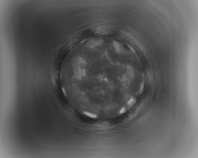 X0000101710271200807311458