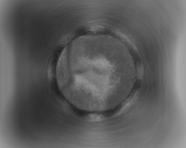 X0000101710272200807311458