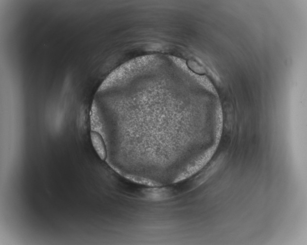 X0000101710273200807311458