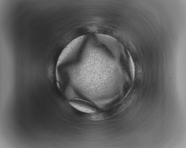 X0000101710275200807311458