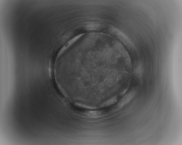 X0000101710277200807311458