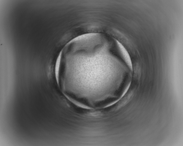 X0000101710278200807311458