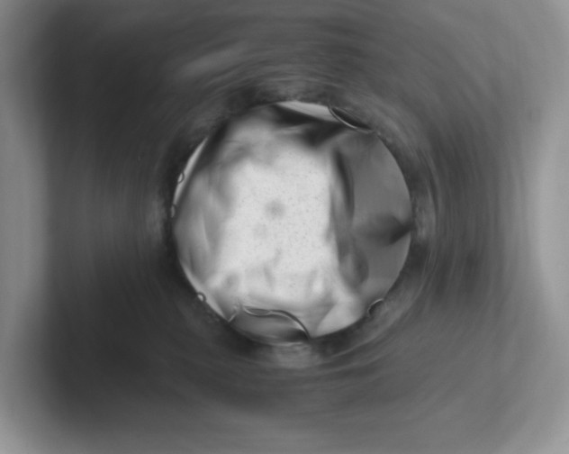 X0000101710279200807311458