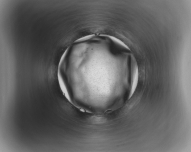 X0000101710280200807311458