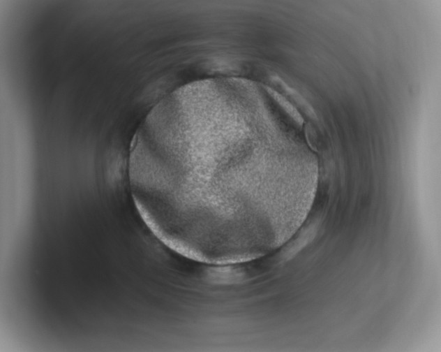 X0000101710281200807311458